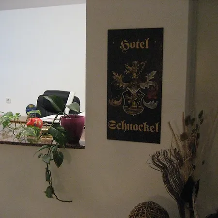 Hotel Zum Schnackel In Mainz 3*